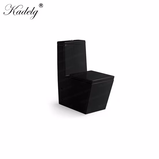 Sedile WC stampato in Duroplast/sedile WC in plastica HD con stampa OEM per hotel/casa