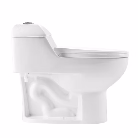 Sedile WC in ceramica monopezzo a risparmio idrico, facile da pulire
